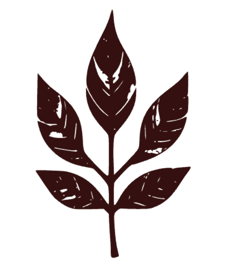 Black Mountain Church of God